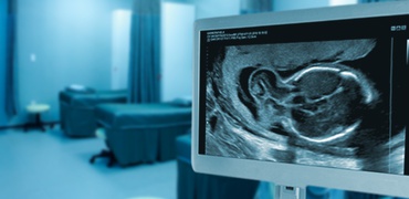 Ultrassonografia Avançada em Dismorfismo e Malformação Fetal